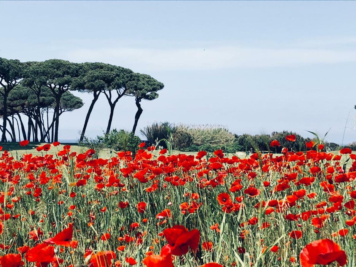 La Casa Nel Castello E Il Giardino Segreto Villa Suvereto Exterior foto